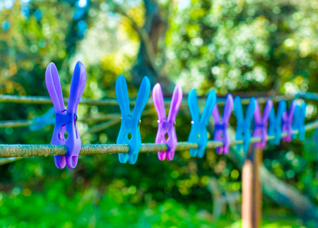 Colored pegs for hanging in a gardenの写真素材