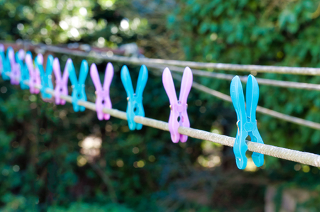Colored pegs for hanging in a gardenの写真素材