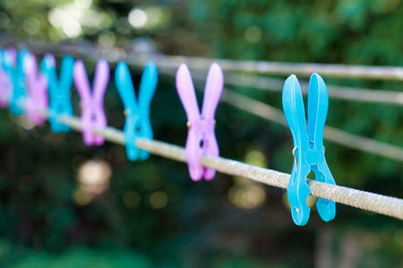 Colored pegs for hanging in a gardenの写真素材