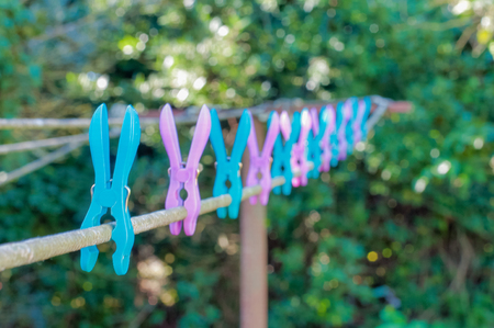 Colored pegs for hanging in a gardenの写真素材