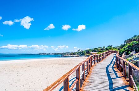View of the sardinian beach of Stintino - La Pelosa - in a sunny dayの写真素材