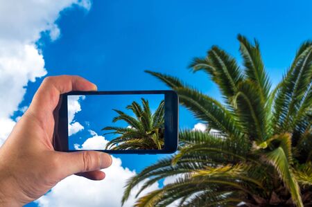 Hand with smartphone taking pictures in a sunny dayの写真素材