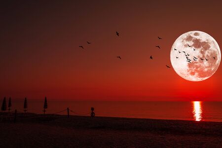 Super moon on the sea in a red sunsetの写真素材