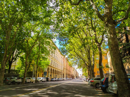 tree-lined avenue in the city of bologna in a sunny day of summerの写真素材