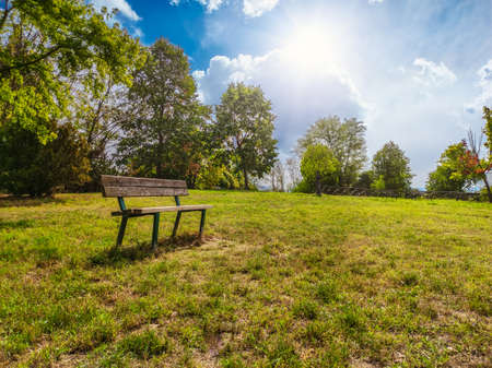 Bench in a park in a sunny day of springの写真素材