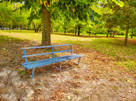 Bench in a park in a sunny day of springの写真素材