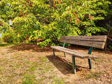 Bench in a park in a sunny day of springの写真素材