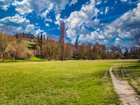 meadow on a sunny and cloudy spring dayの写真素材