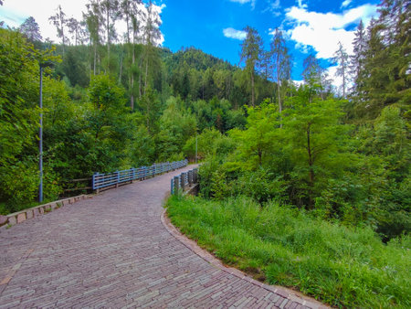 Landscape of mountain forest on a sunny and cloudy dayの写真素材