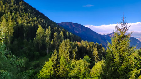 Landscape of mountain forest on a sunny and cloudy dayの写真素材