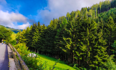 Landscape of mountain forest on a sunny and cloudy dayの写真素材