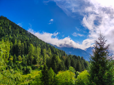 Landscape of mountain forest on a sunny and cloudy dayの写真素材