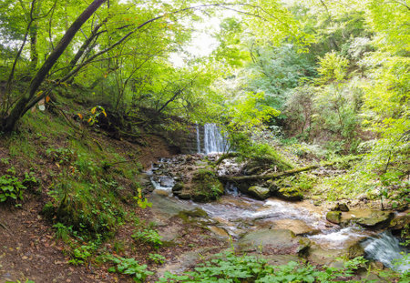 view of a small waterfall in the woods in a sunny day of summerの写真素材