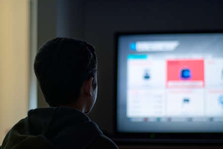 Young boy plays videogame at home during  time.