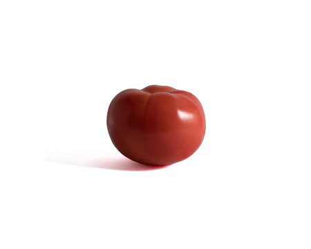 tomato isolated on a white backgroundの写真素材