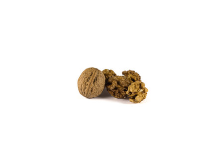 Pile of peeled walnuts, closeup.の写真素材