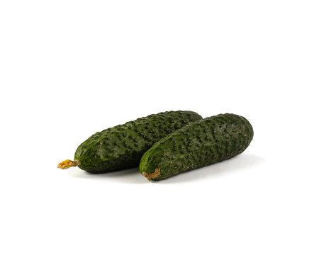 Fresh green gherkin cucumber with on white background.の写真素材