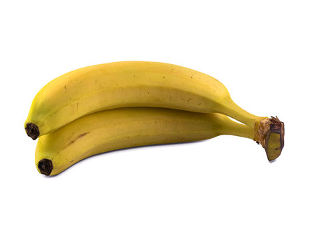 Bananas on a white backgroundの写真素材