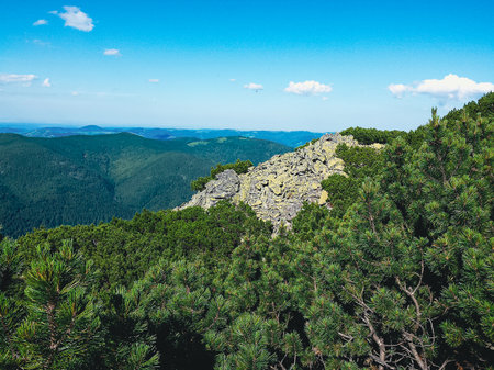 Gorgany - mountain range in Western UkrainView to Syniak mountの写真素材