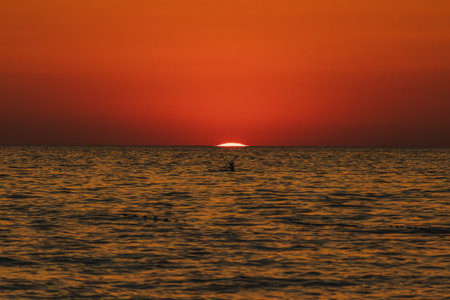 Amazing sunset with endless horizon and lonely figures in the distance Croatiaの写真素材