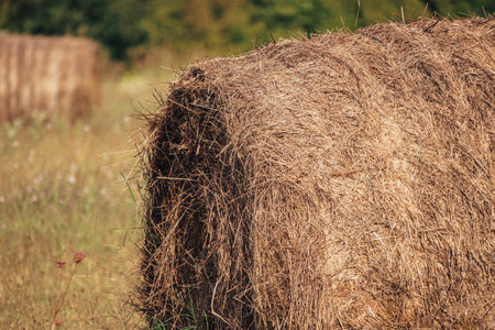 Rounded Hay Bale In Front Of Blue Sky, Hay Bale, Hay Bales, Rounded Hay Balesの写真素材