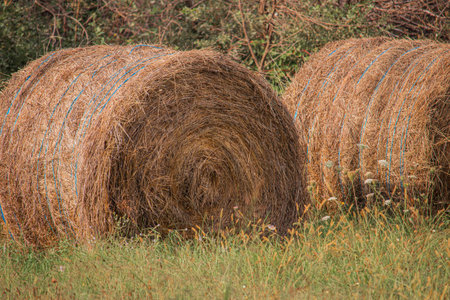 Rounded Hay Bale In Front Of Blue Sky, Hay Bale, Hay Bales, Rounded Hay Balesの写真素材
