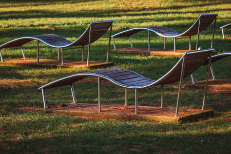 Empty sun loungers in park at seaの写真素材
