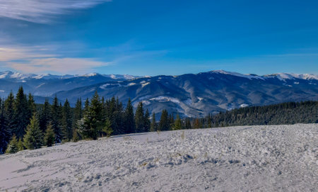Panoramic view over Carpathian Mountains in wintertime.の写真素材