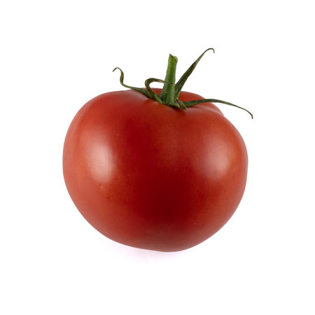 Tomato isolated on white background. With clipping path. Full depth of field.の写真素材