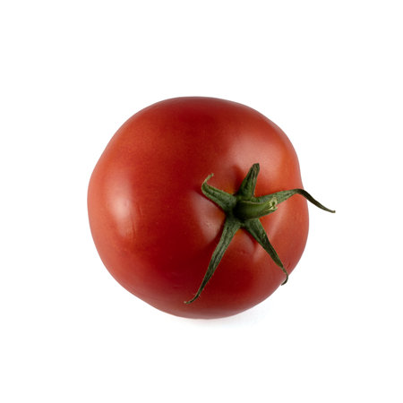 Tomato isolated on white background. With clipping path. Full depth of field.の写真素材