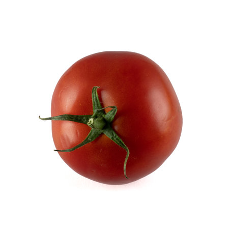 Tomato isolated on white background. With clipping path. Full depth of field.の写真素材