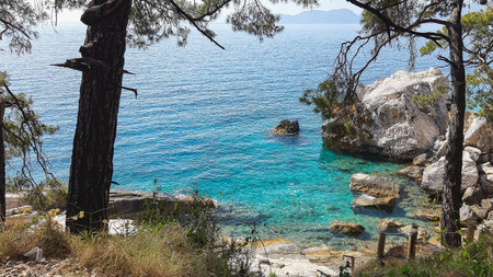 Oludeniz beach Turkey see treeの写真素材