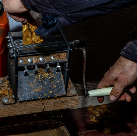 Cut tobacco and tobacco leavesの写真素材