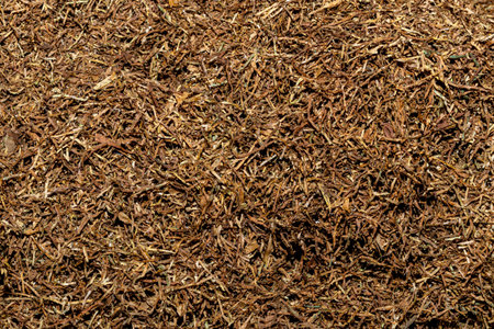 Cut tobacco and tobacco leavesの写真素材
