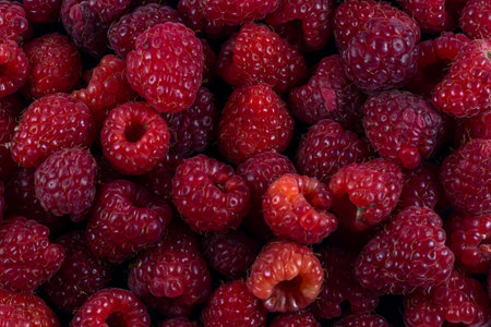 fruit banner from the harvest of ripe organic raspberries backgroundの写真素材