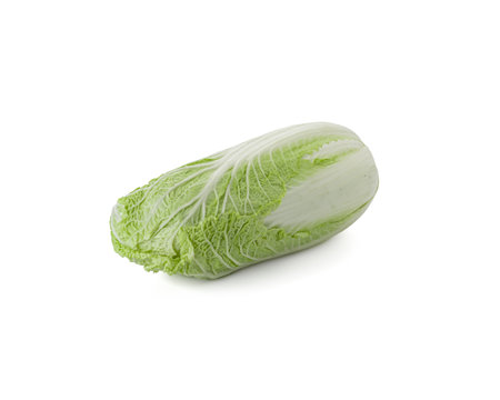 Fresh whole chinese cabbage isolated on a white background.の写真素材