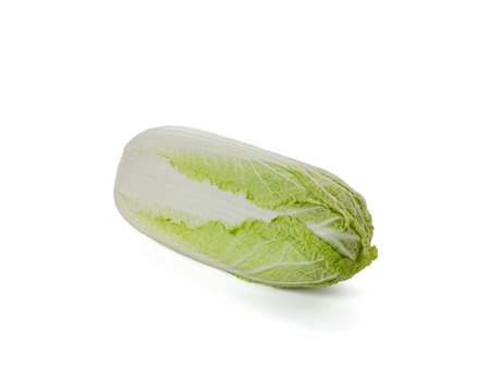 Fresh whole chinese cabbage isolated on a white background.の写真素材