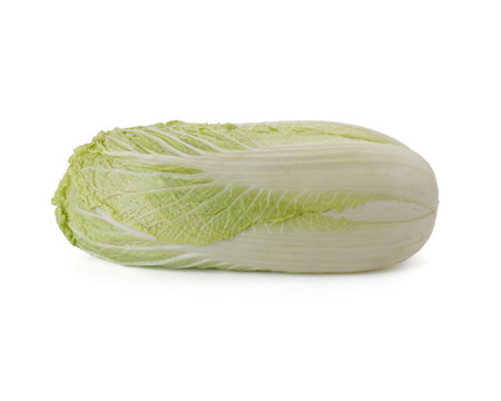 Fresh whole chinese cabbage isolated on a white background.の写真素材