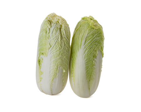 Fresh whole chinese cabbage isolated on a white background.の写真素材
