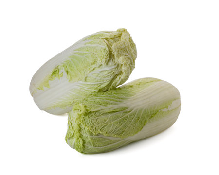 Fresh whole chinese cabbage isolated on a white background.の写真素材