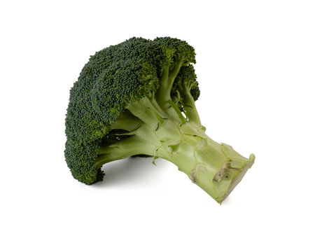Fresh green broccoli on a white background isolationの写真素材