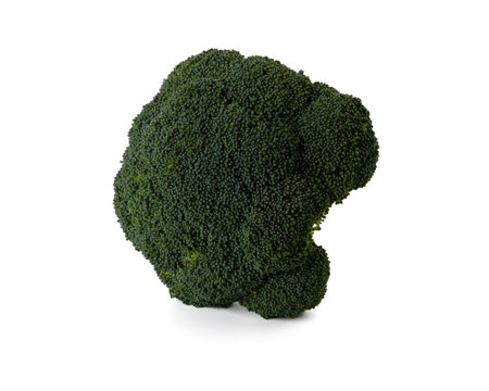 Fresh green broccoli on a white background isolationの写真素材