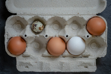 Fresh quail and chicken eggs in a paper tray, top view selective focusの写真素材