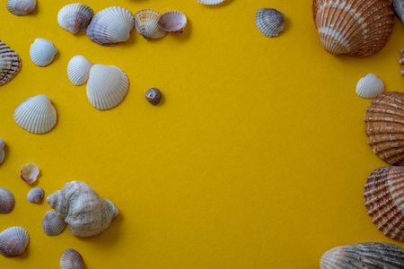 Sea shells on yellow background, summer vacation,の写真素材