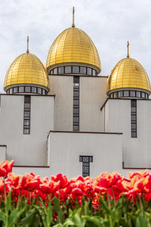 Red tulips on the background of the church High quality photo