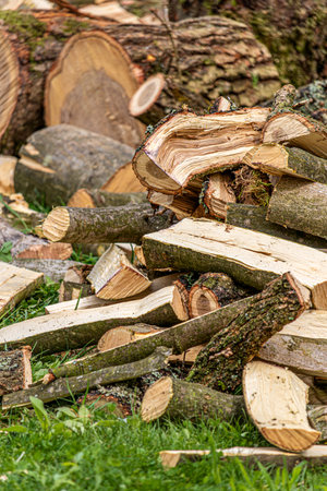 Lots of chopped firewood for winter. Supplies of firewood in village for winter high quality photo