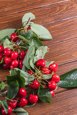 several branches of ripe fresh cherries on a branch on the tableの写真素材