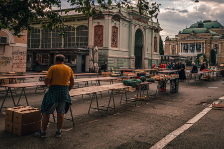 Rijeka Croatia 25.06.24 Sellers lay out vegetables and fruits on the marketのeditorial素材