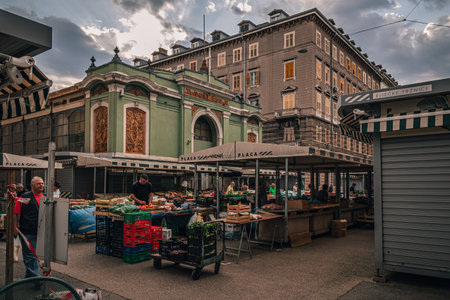 Rijeka Croatia 25.06.24 Sellers lay out vegetables and fruits on the marketのeditorial素材
