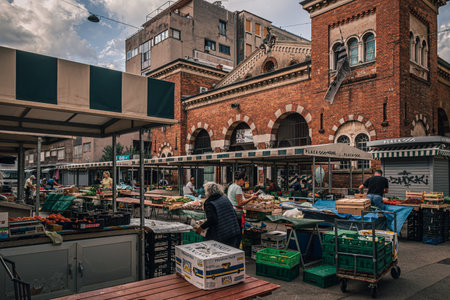 Rijeka Croatia 25.06.24 Sellers lay out vegetables and fruits on the marketのeditorial素材
